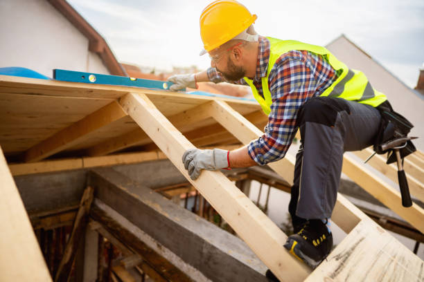 Best Roof Waterproofing Services  in Hidalgo, TX