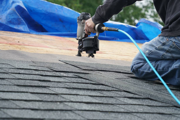 Roof Gutter Cleaning in Hidalgo, TX