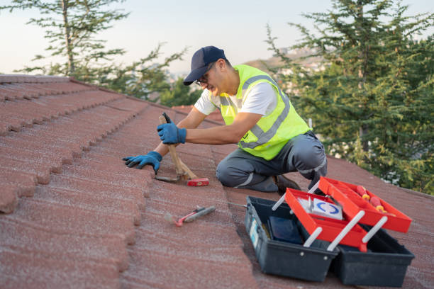 Best Emergency Roof Repair  in Hidalgo, TX
