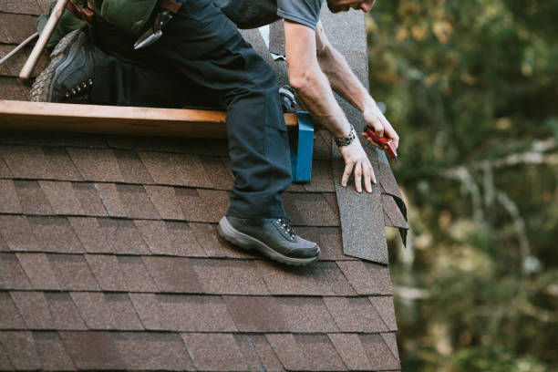 Best New Roof Installation  in Hidalgo, TX
